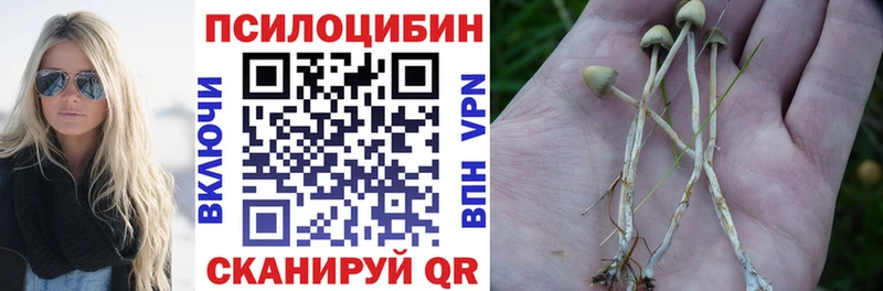 магазин продажи наркотиков  Новая Ладога  Галлюциногенные грибы мицелий 