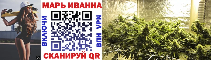 Конопля план  Новая Ладога 